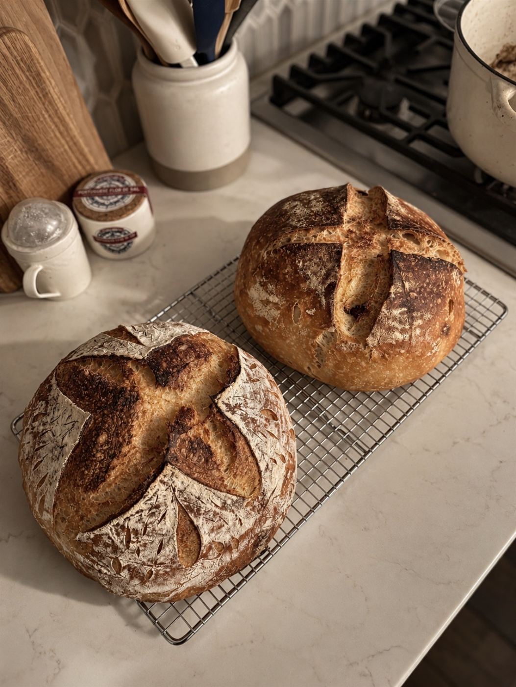 Two scored sourdough boules cooling on a wire rack